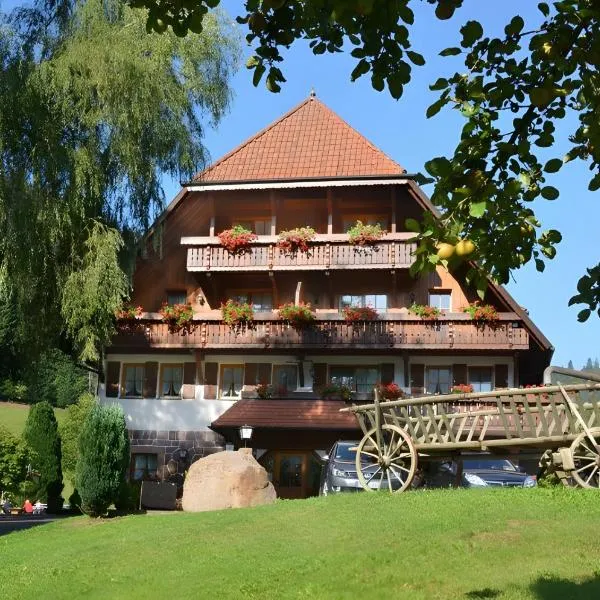 Pension Vogtsmichelhof - Haupthaus, hotel v destinácii Alpirsbach