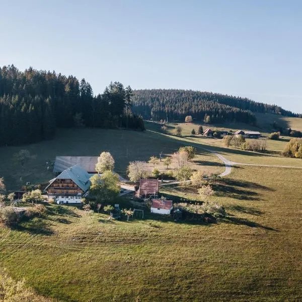 Sigmundenhof Schonach: Ölberg şehrinde bir otel