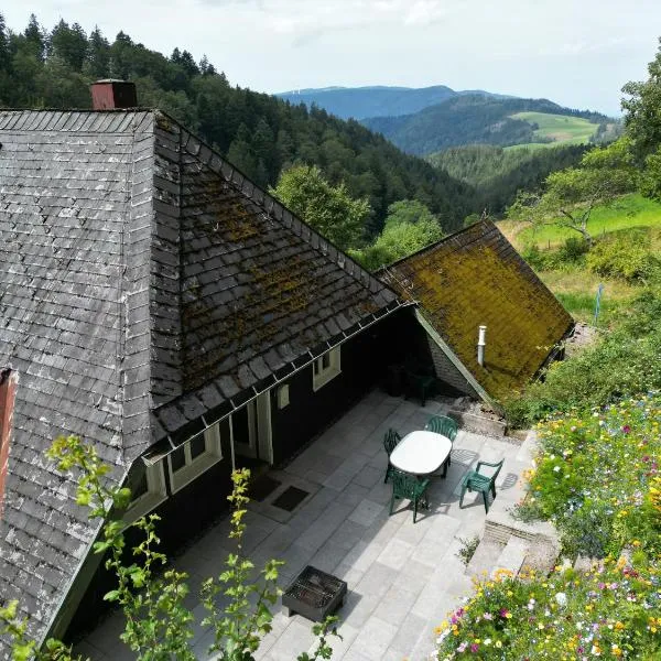 Schwarzwald Chalet - Karlshütte, ξενοδοχείο σε Neuweg