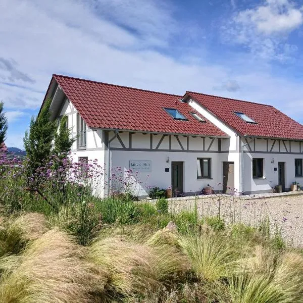 Binzighof Ferienhäuser、オーバーキルヒのホテル
