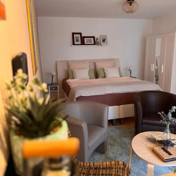 Komfort-Apartment Mit Terrasse, hotel en Estenfeld
