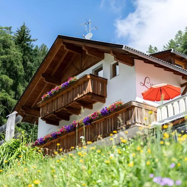 Mair am Tinkhof, hotel i Selva dei Molini