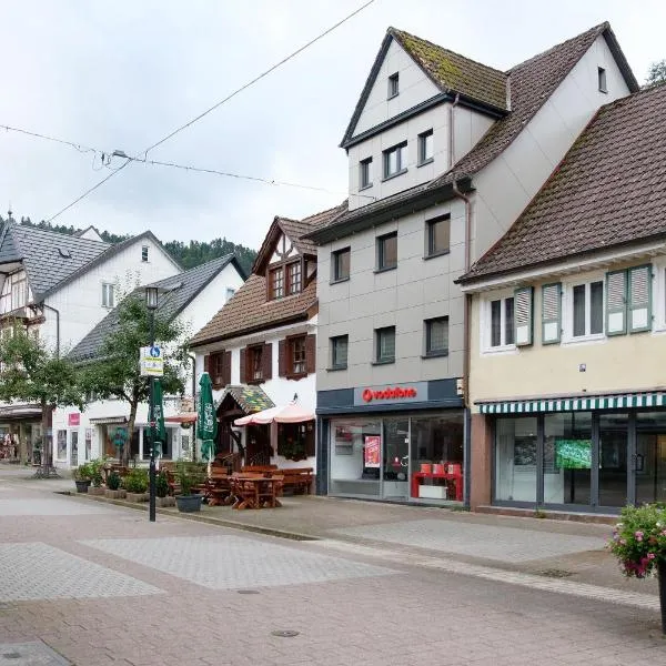 Haus Schiltach, hotel di Schramberg