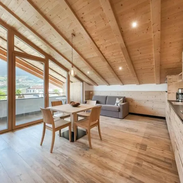 Natur Suite Edelweisshof App Tony, Hotel in Klausen