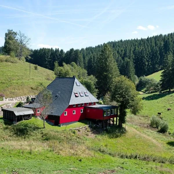 Grundhäusle Gütenbach, Hotel in Gütenbach