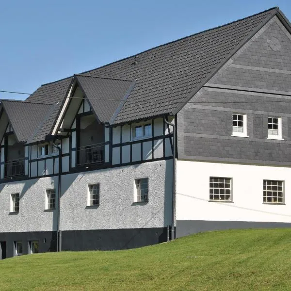 Ferienwohnungen Übern Hof, hotel in Schmallenberg