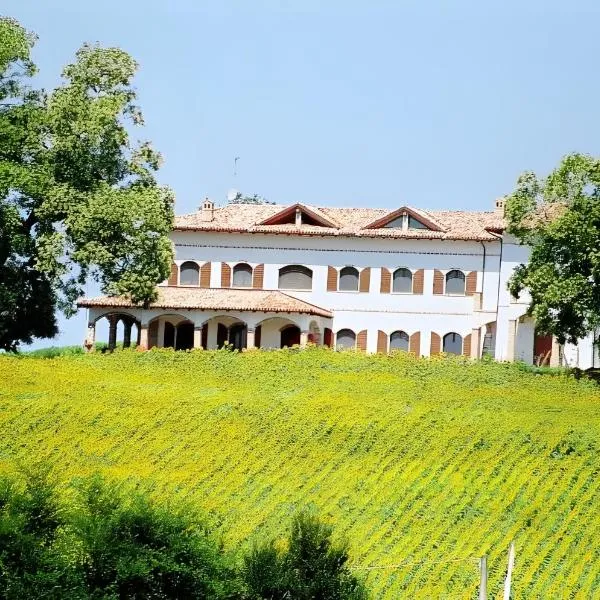 Agriturismo Cascina Favorita, hotel in Alfiano Natta