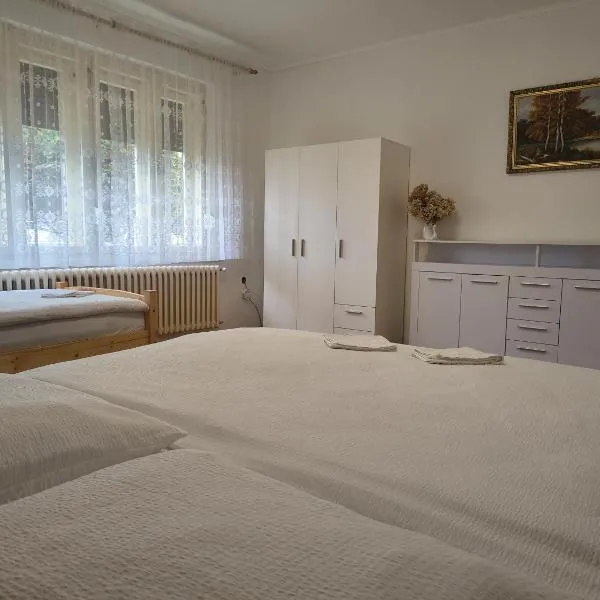 Vidiecky Dom, hotel a Mojmírovce