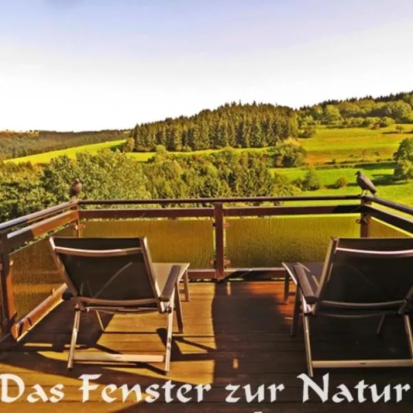 Ferienwohnung Breuer, hotel em Plittersdorf