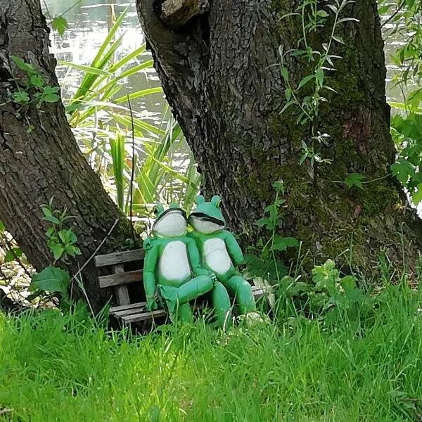 Am Froschteich, hotel en Dolgen