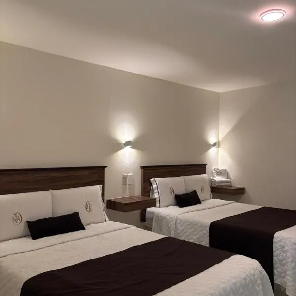 Hotel Royal Puebla，普埃布拉的飯店