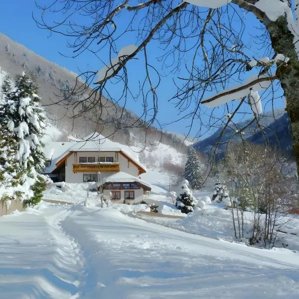 Haus am Rotwiesenbach, hotell i Todtnau