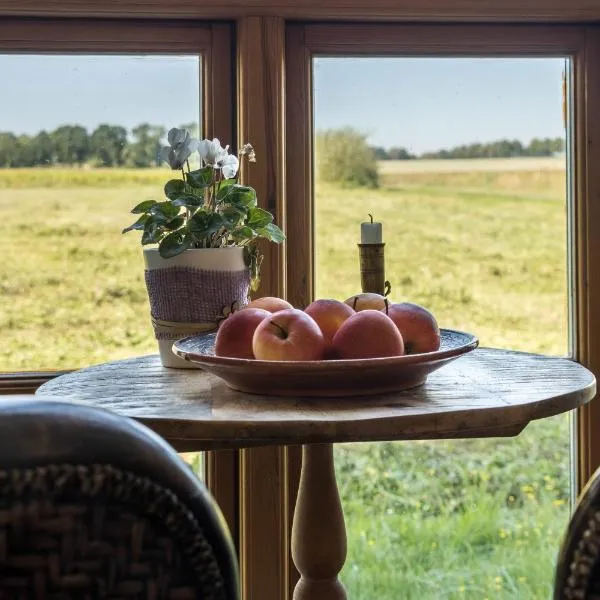 Apartment Lüneburger Heide, hotel in Hankensbüttel