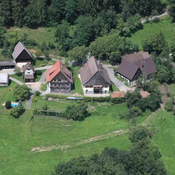 Ferienhof Rohrbachhof, hôtel à Schiltach