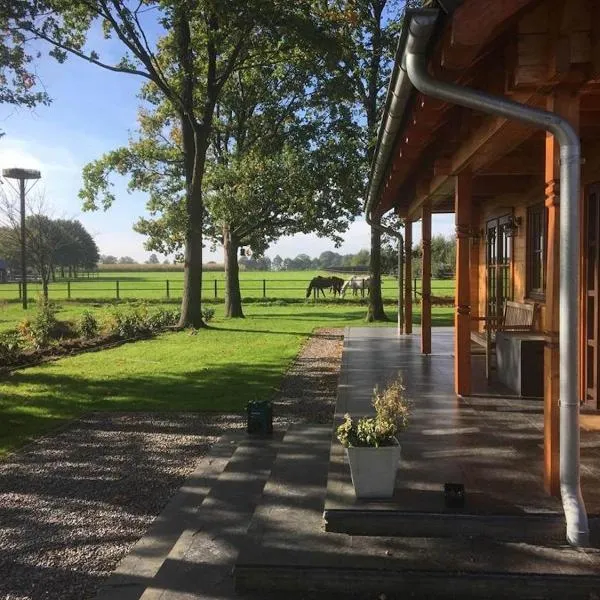 Houten villa Albert, hotel sa Den Ham