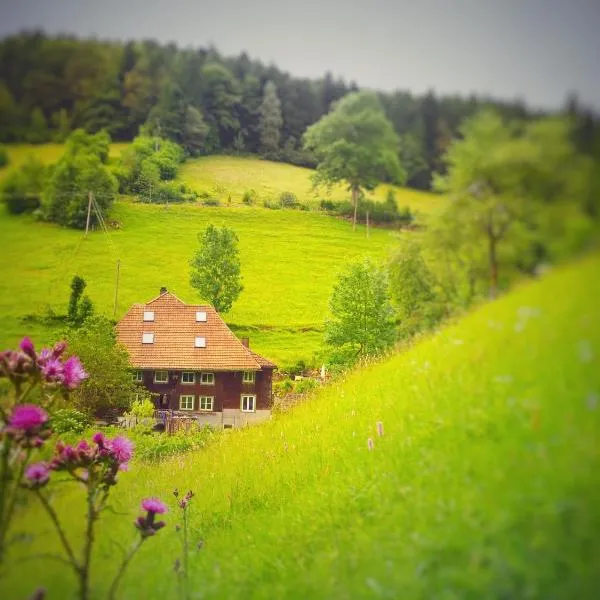 Ferienwohnung Teich 11, 126qm, Hotel in Gütenbach