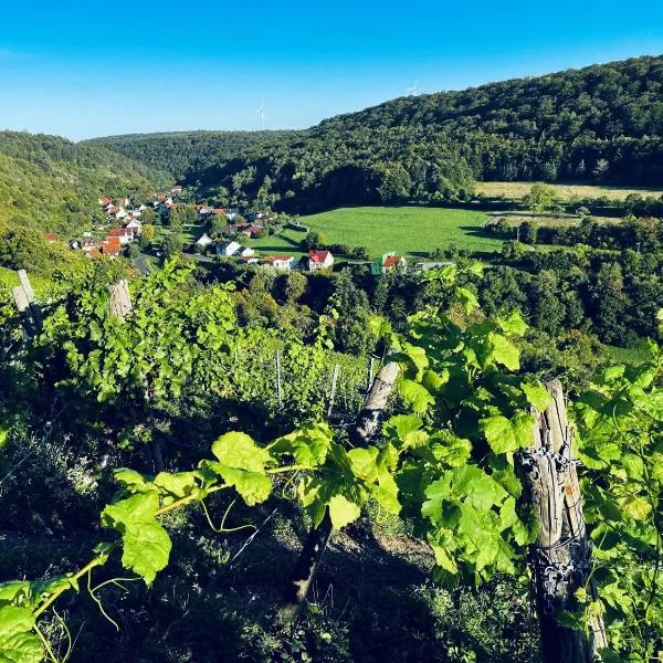 Angernest โรงแรมในElfershausen
