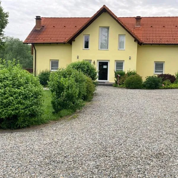 Pensiunea Arpasel, hotel v destinácii Arpaşu de Sus