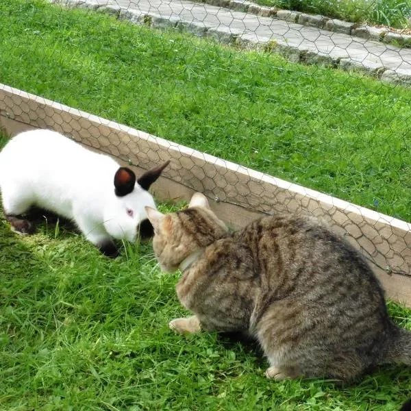 Klausseppenhof, готель в Обервольфасі