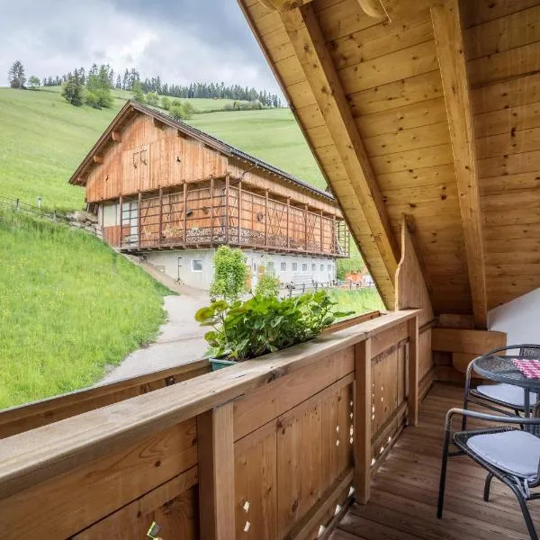 Bolser App Plan de Corones, hotel din San Vigilio Di Marebbe