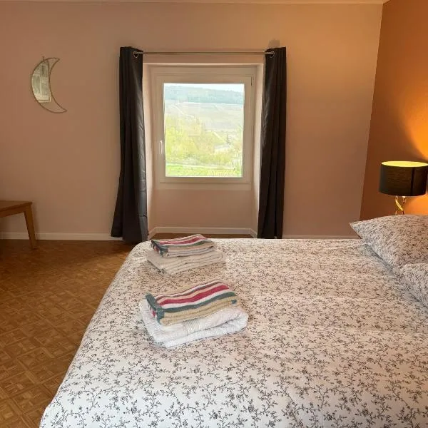 Le Gîte Champenois à FLEURY LA RIVIERE, Hotel in Fleury-la-Rivière