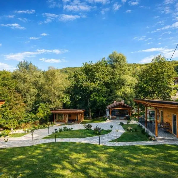 Mon Resort by Ana1St, hotel en Scărişoara