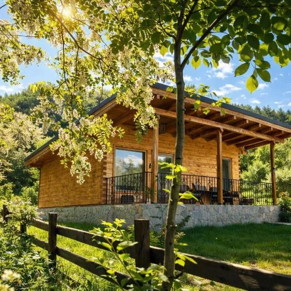 Mon Resort by Ana1St, hôtel à Scărişoara