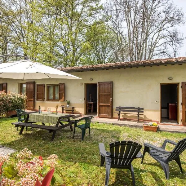 Faetino - Gallo, hotell sihtkohas Colle Val D'Elsa