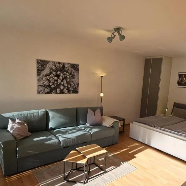 Schanzenblick mit Sauna und Pool, готель у місті Шенвальд