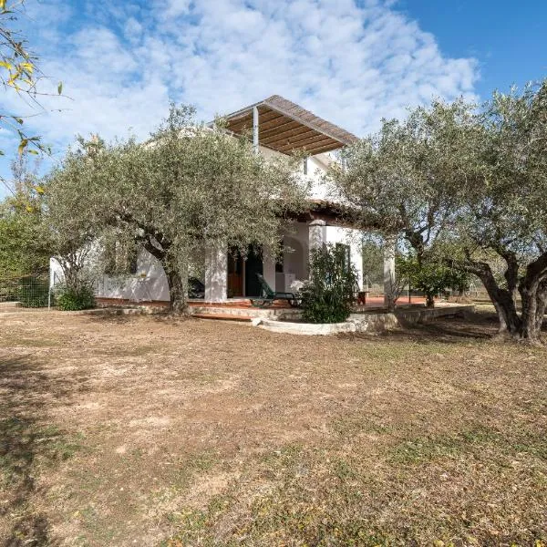 Villa Francesco P Terra, hotel a Orosei