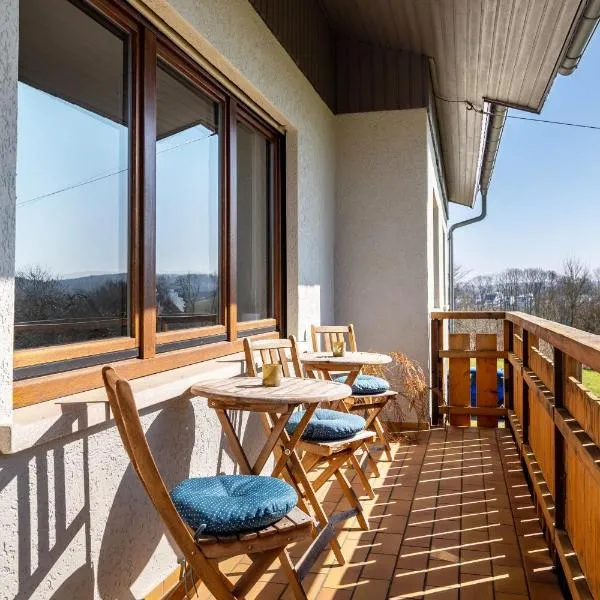 Pension am Hohberghof Dielheim – hotel w mieście Dielheim