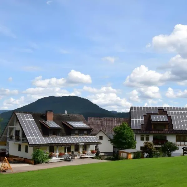 Löcherhansenhof, hotel in Bad Peterstal-Griesbach