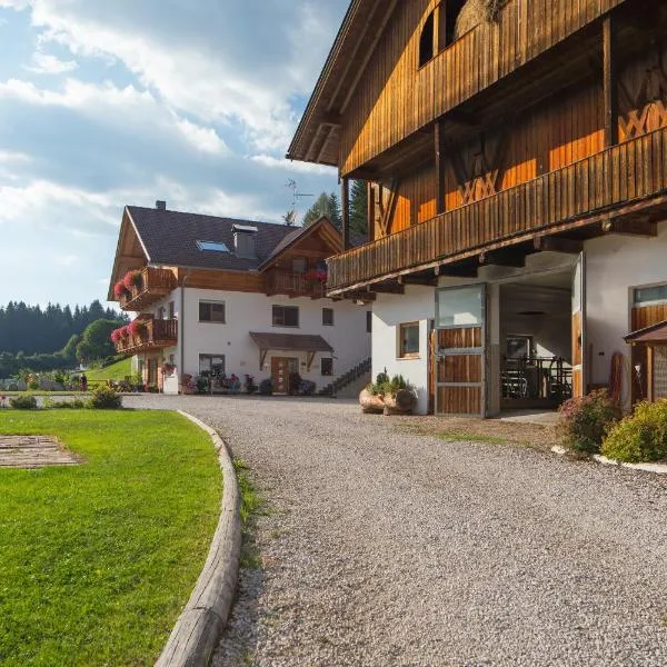 Stoffnerhof Apt Sonnenblume، فندق في تيسيدو