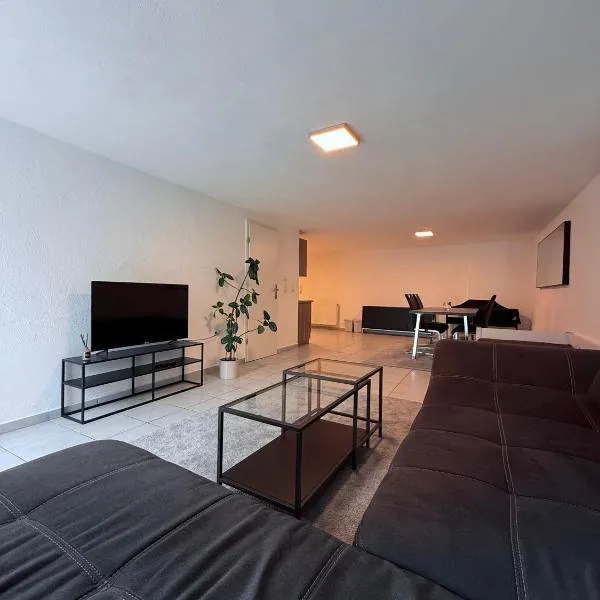 Ferienwohnung direkt am Rhein, hotel in Linz am Rhein