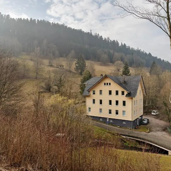 Waldliebe, hotel in Schramberg