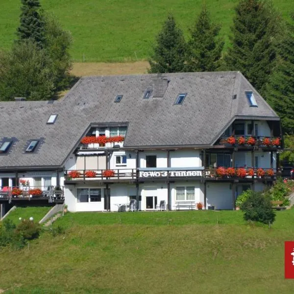 Ferienhaus Schneider Todtnauberg โรงแรมในทอดท์เนา