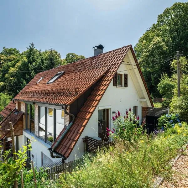 Ferienwohnung s'Raubers, Hotel in Bühlertal