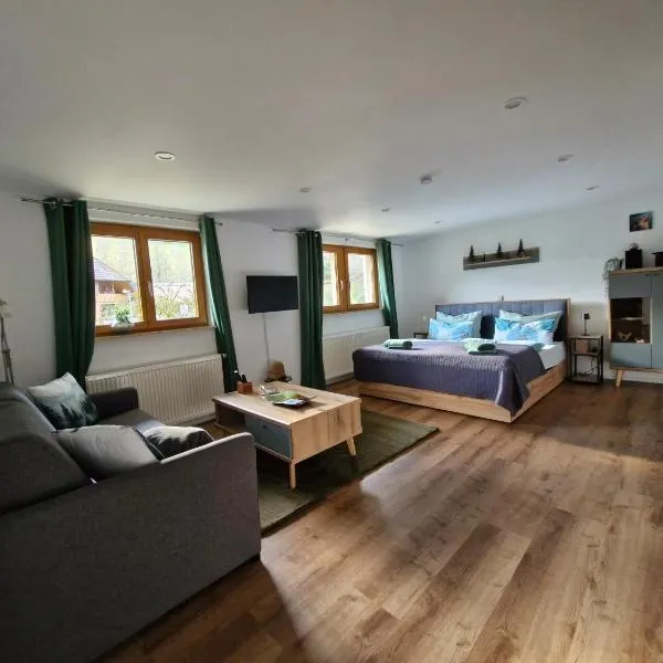 Ferienwohnung Vordere Halde, Hotel in Elzach