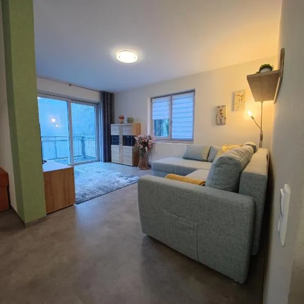Ferienwohnung 1 barrierefrei, отель в городе Шмидефельд-ам-Ренштайг