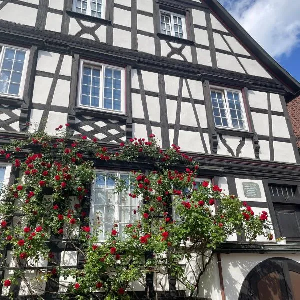 Apartment im Scheffelhaus, Hotel in Gengenbach