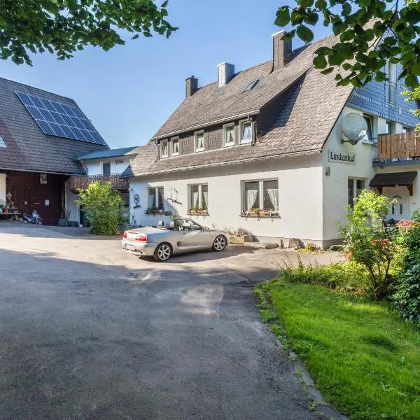Ferienwohnungen Lindenhof, hotel en Willingen