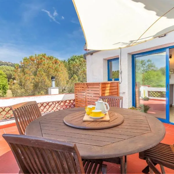 Mas Tinus - Palmera, hotel in Santa Cristina d'Aro