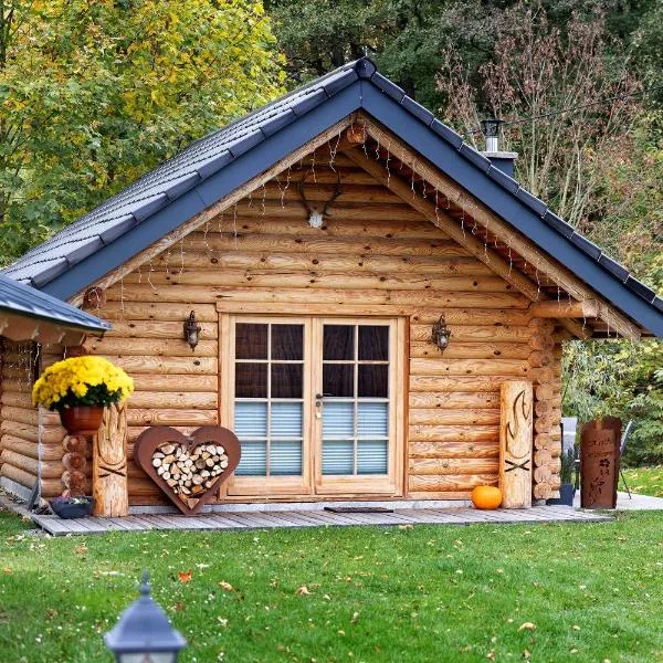 Chalet am See - Vogtland Chalet, hotel v destinaci Bad Brambach