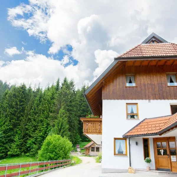 Ferienwohnung Birgit, hotel v destinaci Schonach