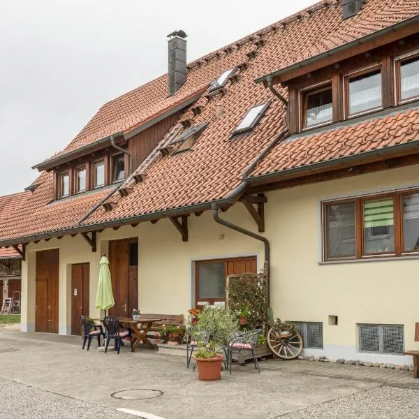 Ferienwohnung Laile, Hotel in Eriskirch