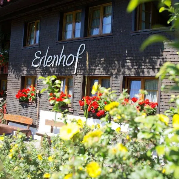 Erlenhof, готель у місті Тодтнау