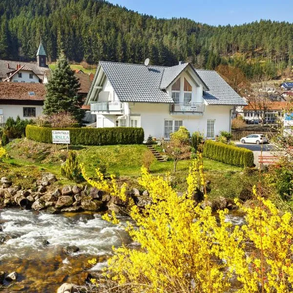 Gästehaus Ursula, Hotel in Hornberg