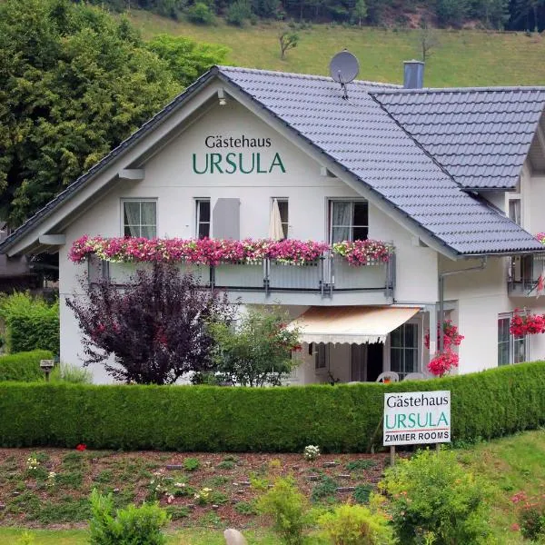 Gästehaus Ursula, khách sạn ở Hornberg