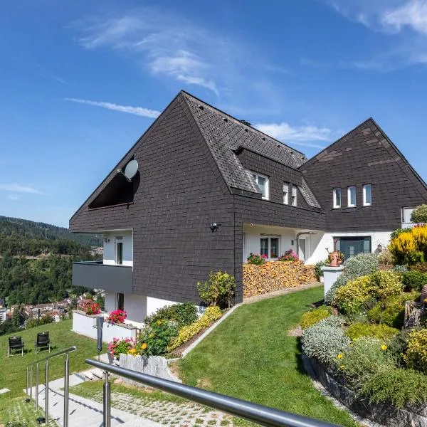 Triberg Blick, hotel sa Triberg