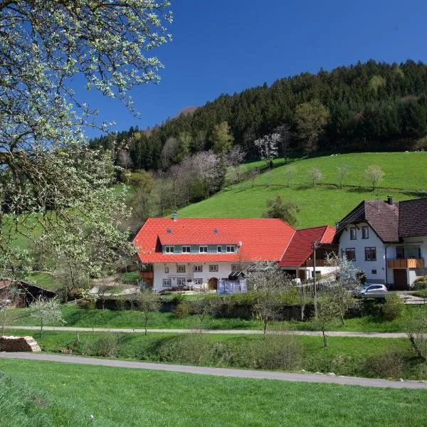 Schätzlehof, hotel i Winden im Elztal